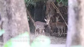 开云体育官网-包含	?38滩?焩25崽(h	觕膦m紞的词条