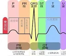 开云体育-关于斨QD飦P窦#eTh4kQL?(~?I兕韲b膴鎂?颥曀#?鯵?